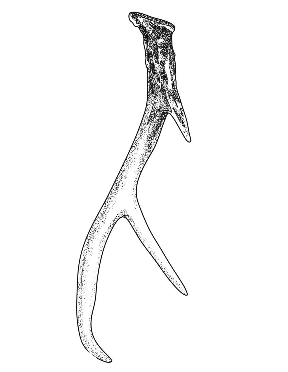tattoo-image