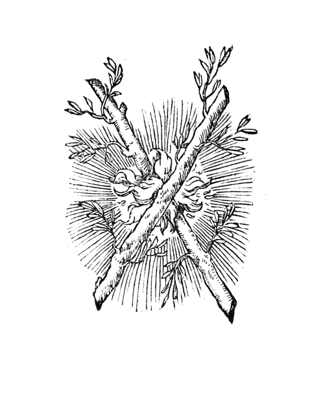 "Flammescit Uterque" By Claude Paradin