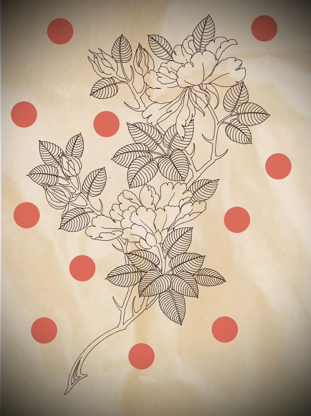 Roses