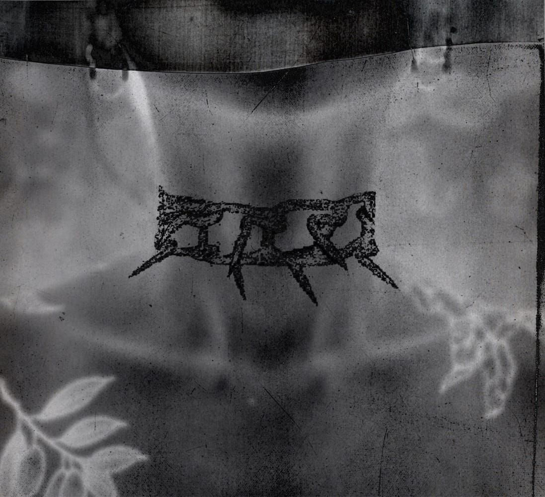 Wolf Collar