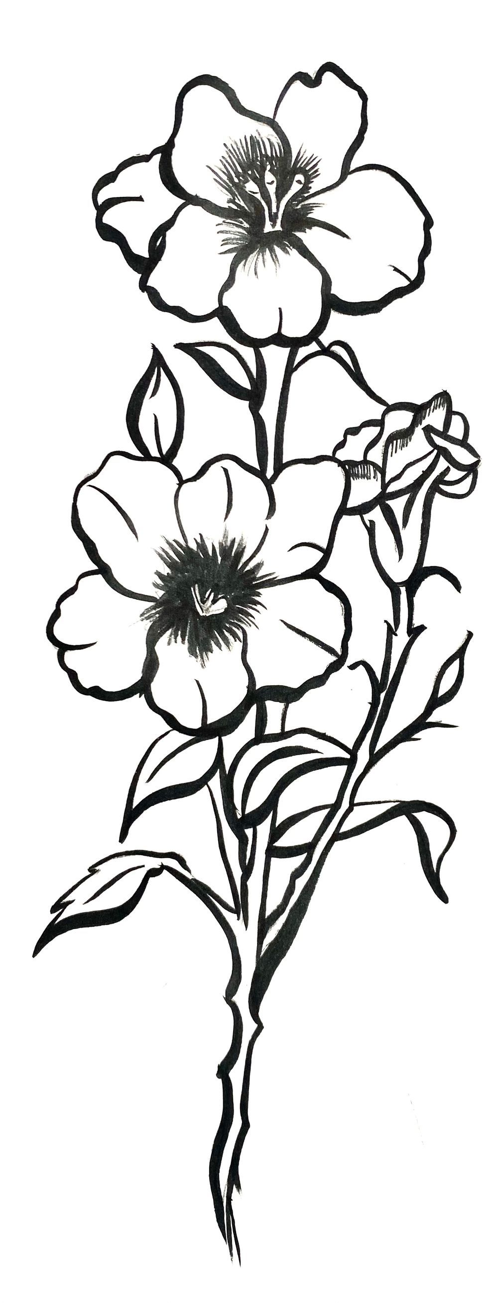 Brushed floral 
