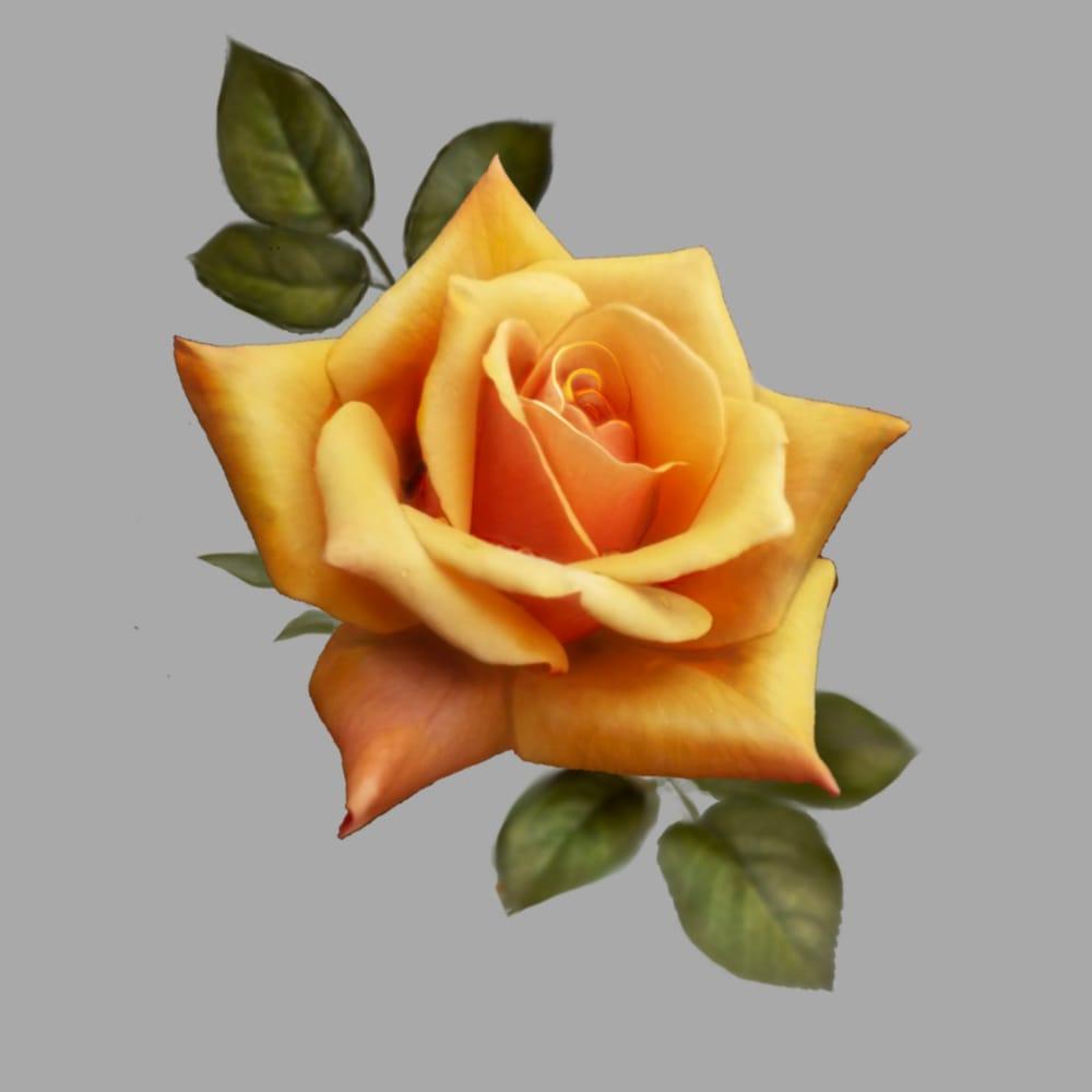 Yellow Rose