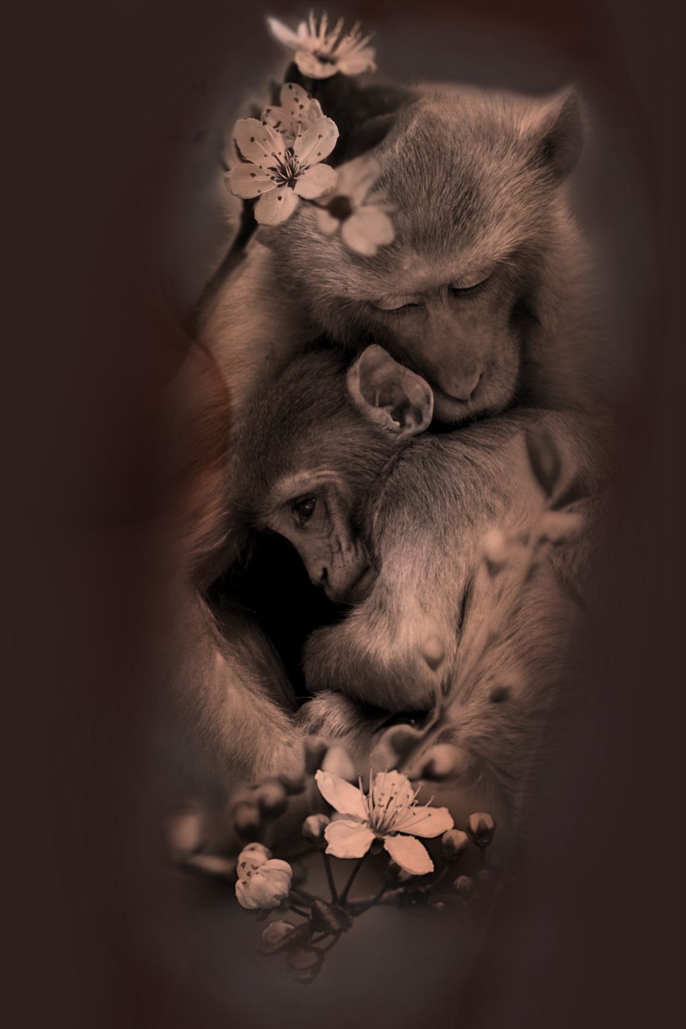 The Bond