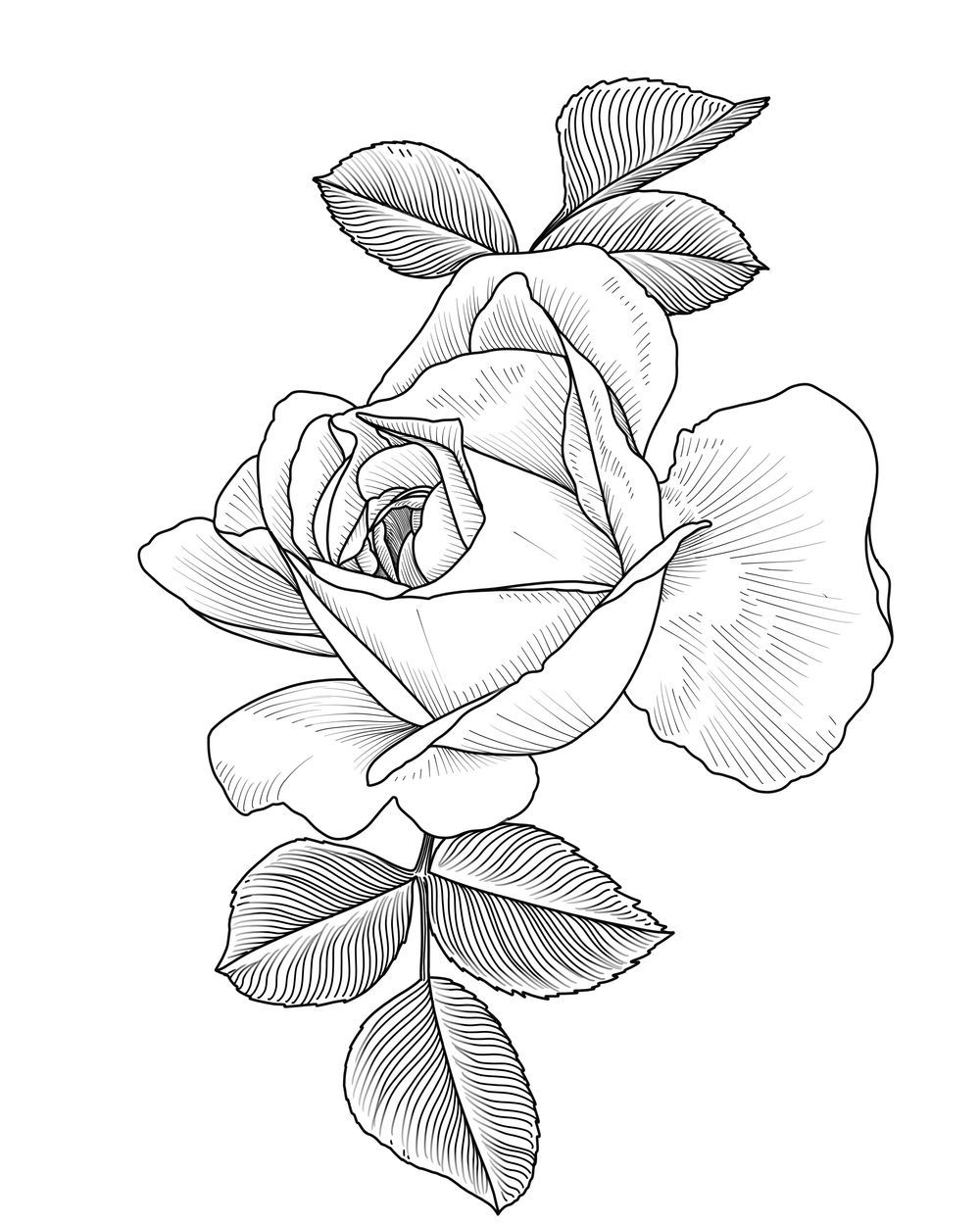 Rose I