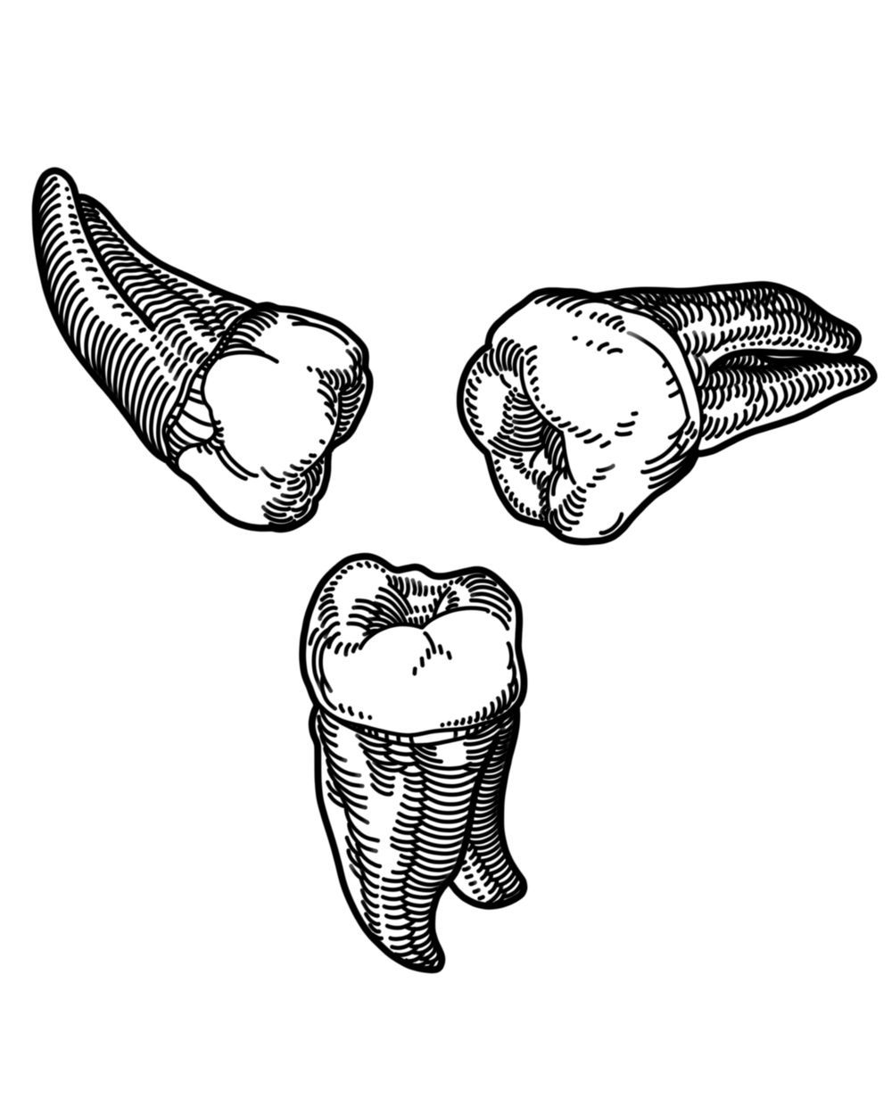 Teef 