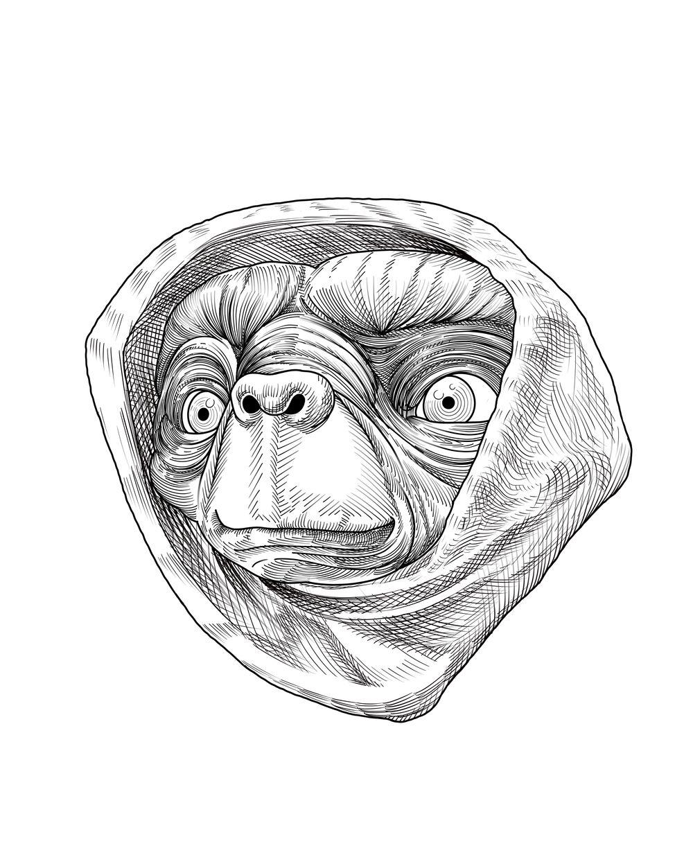 Phone Home