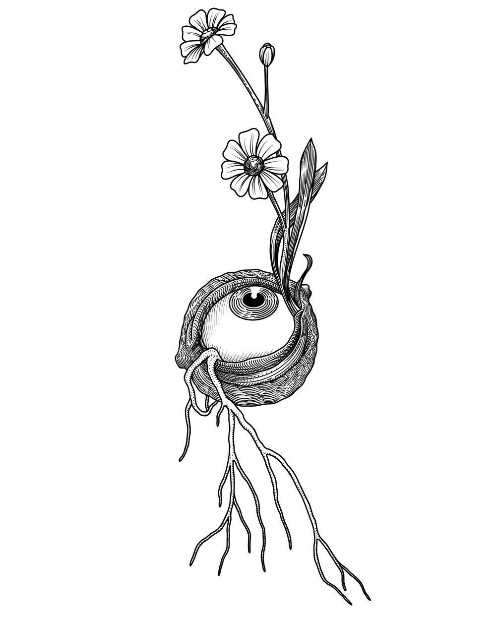 Eye Seed You