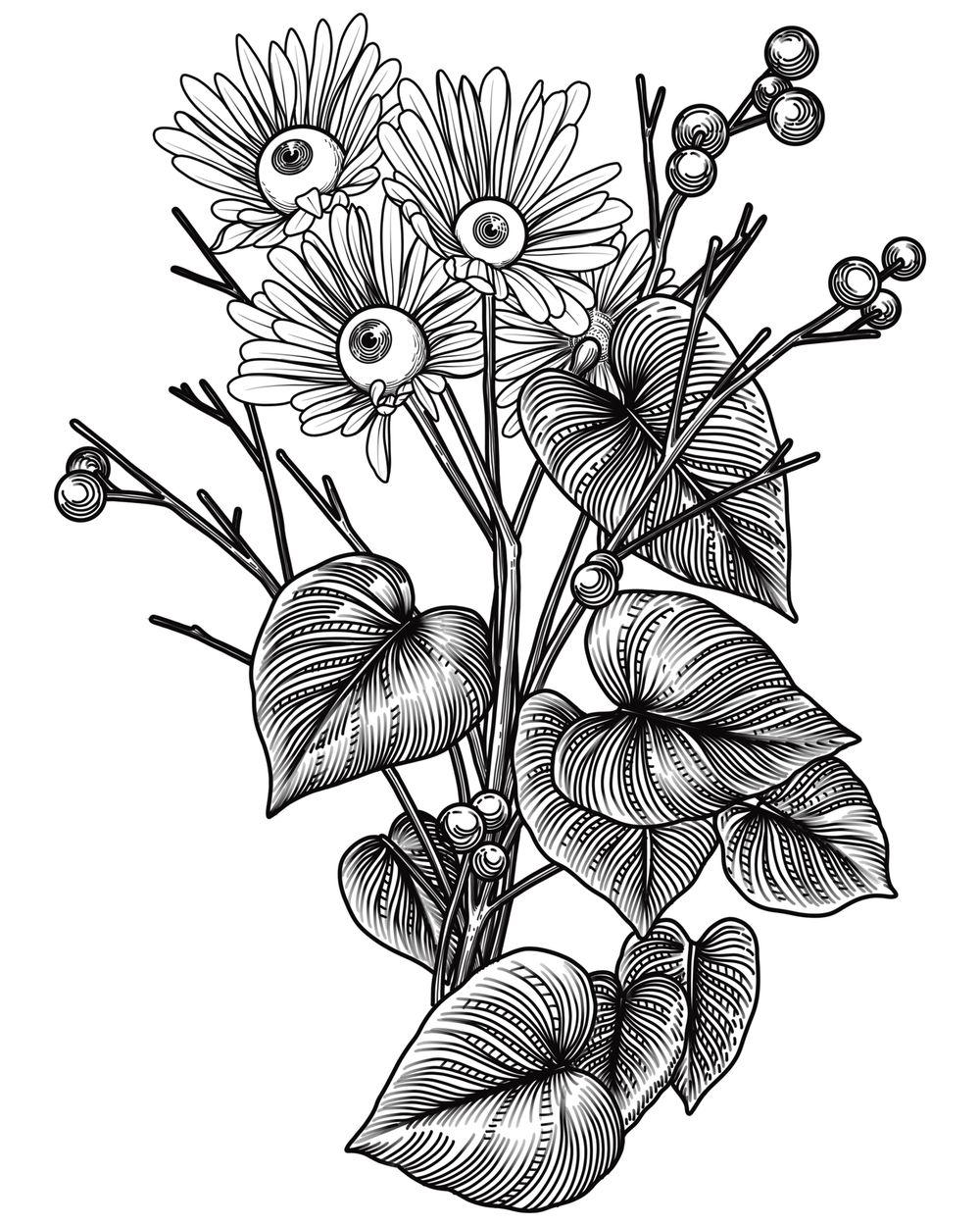 Eye Arrangement 