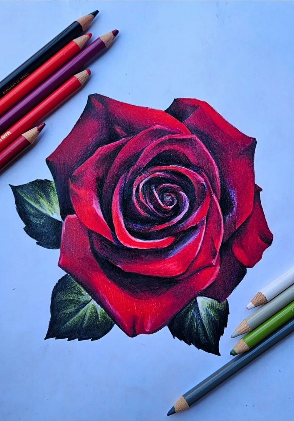 Rose