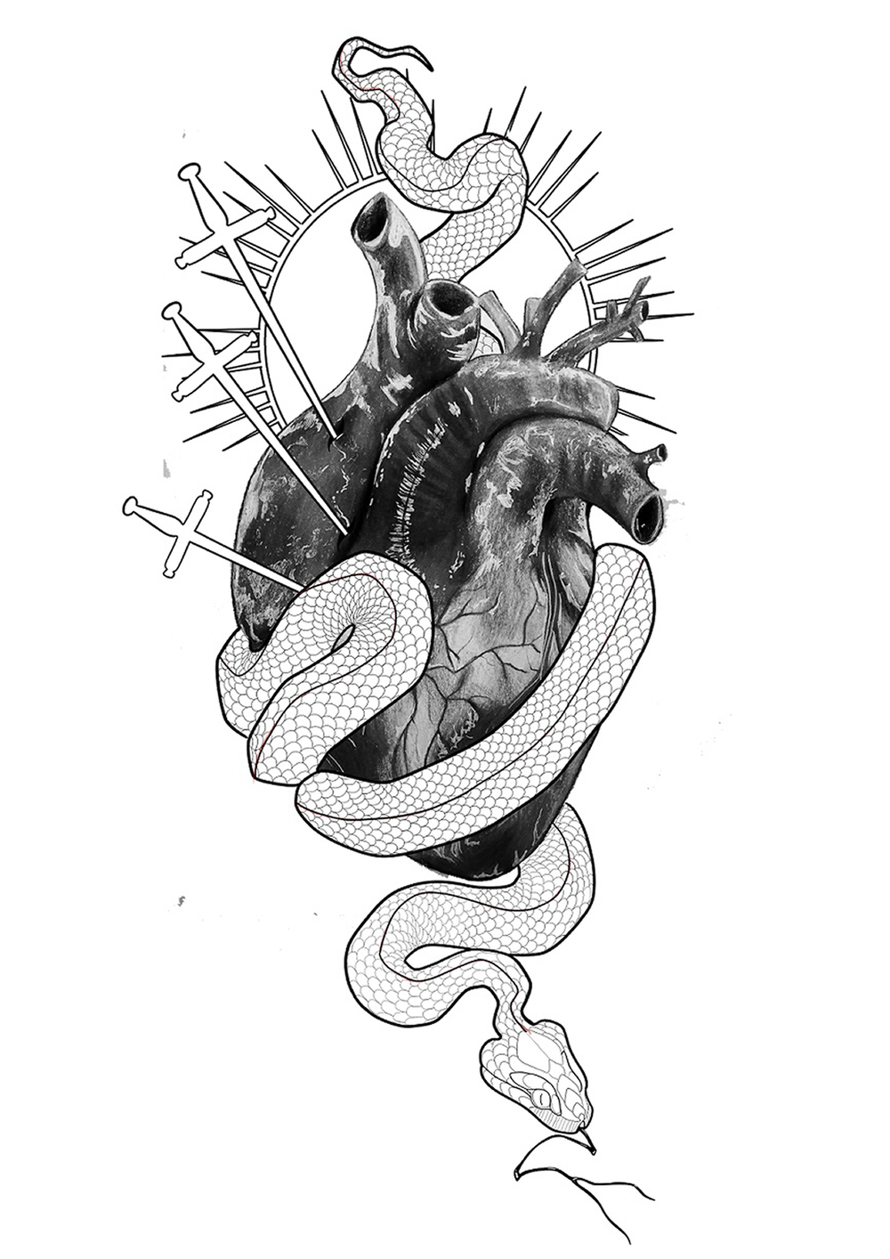 Snake & Heart