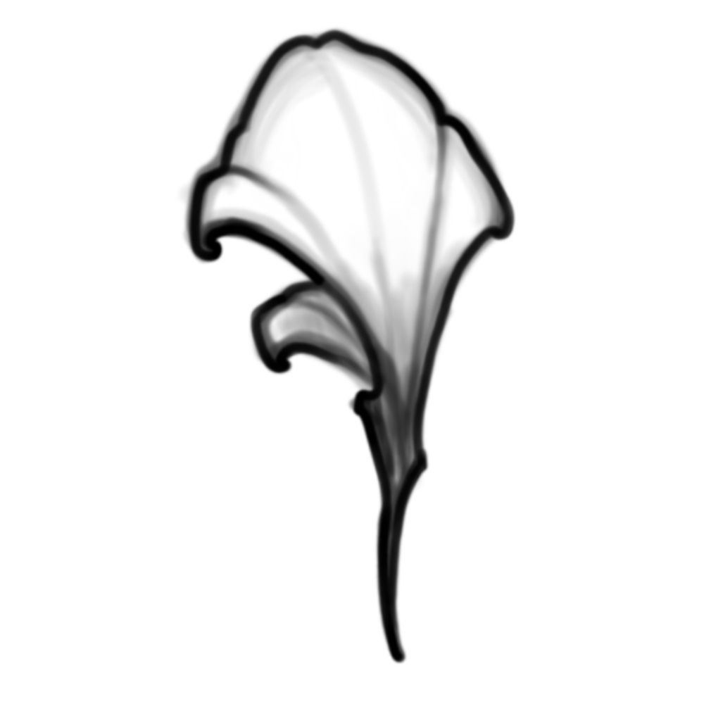 Petal 