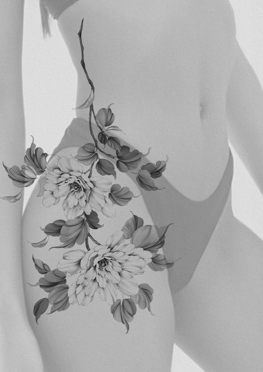 Petal Line