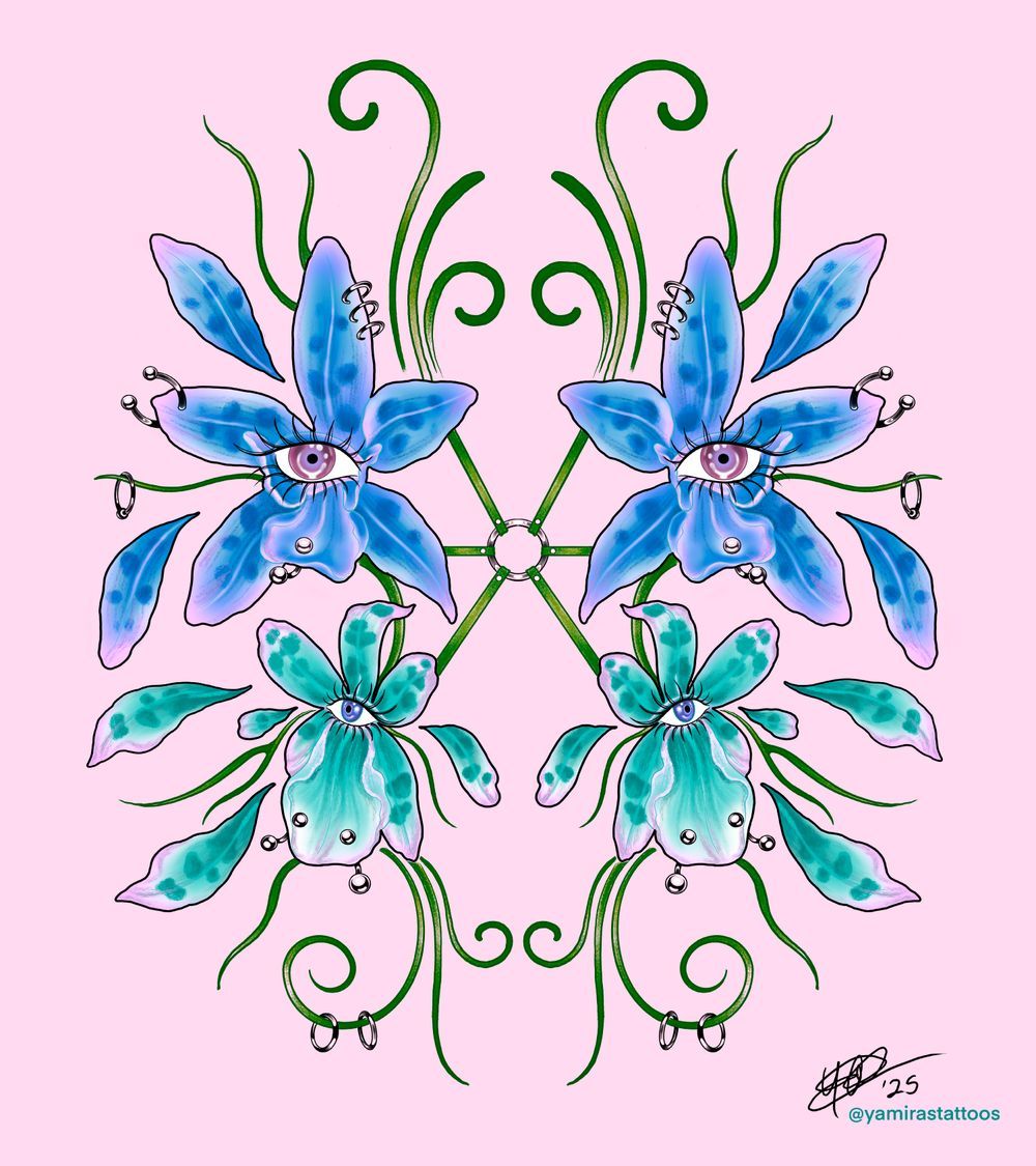 Orchidea