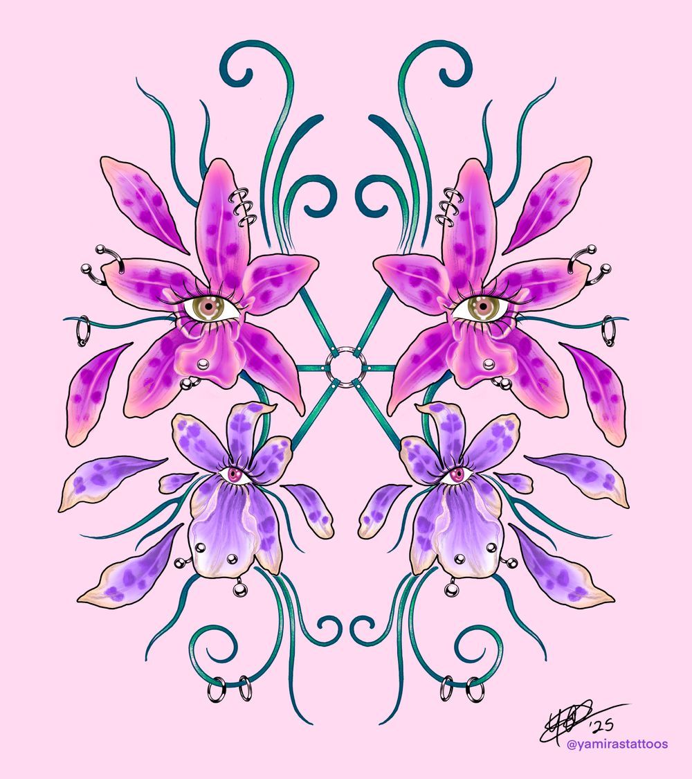 Orchidea 