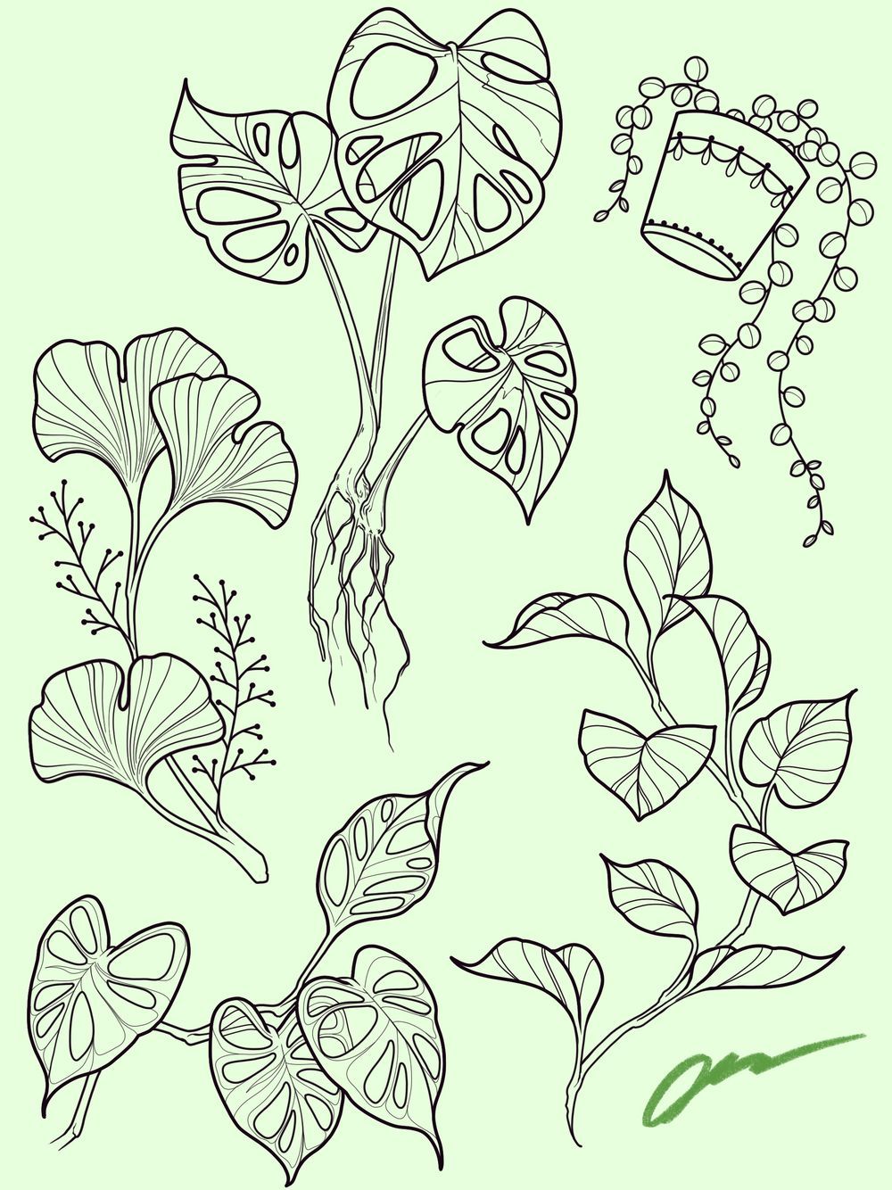 Flash Designs