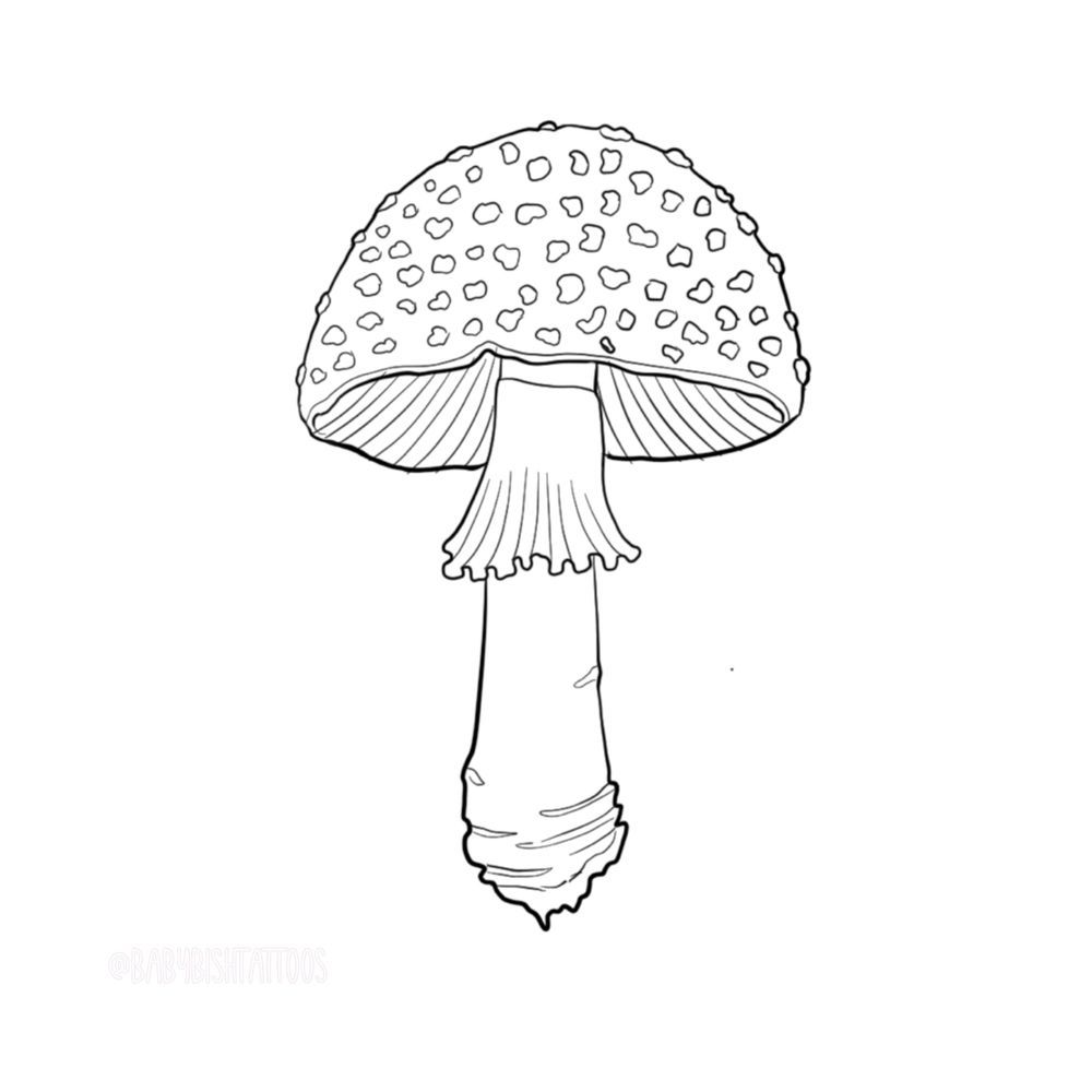 Amanita