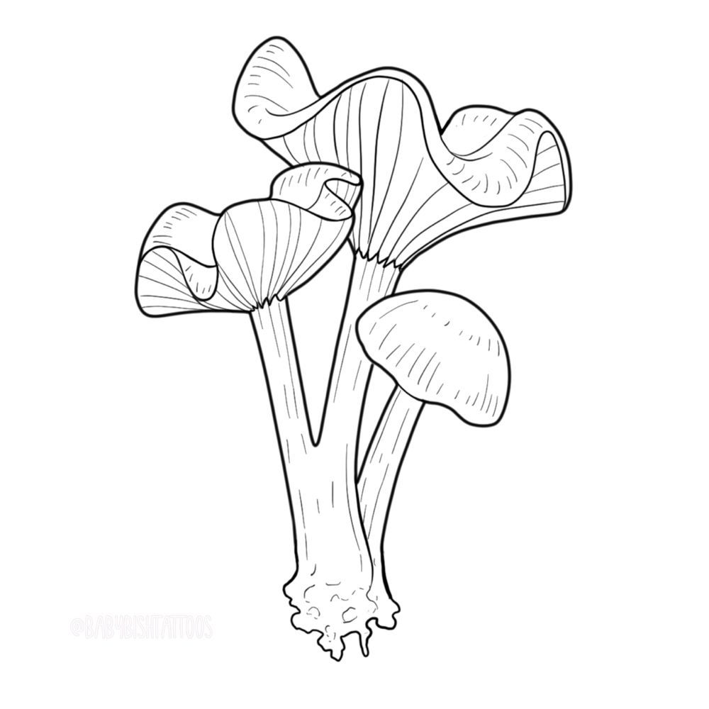 Mushroom cluster