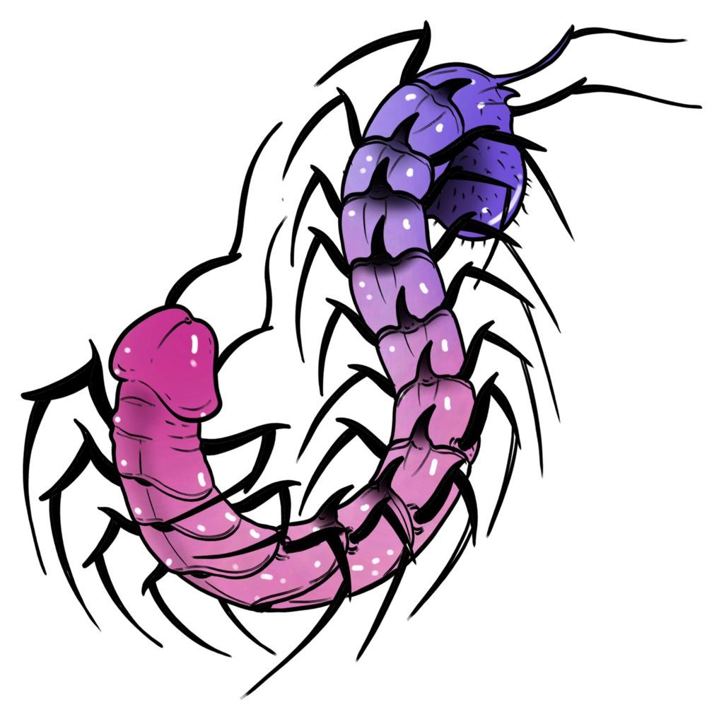 Centipenis