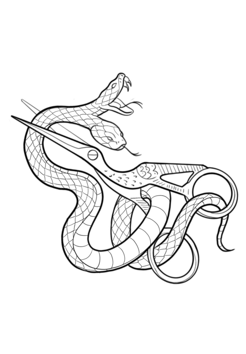 Two snakes, one solution, 