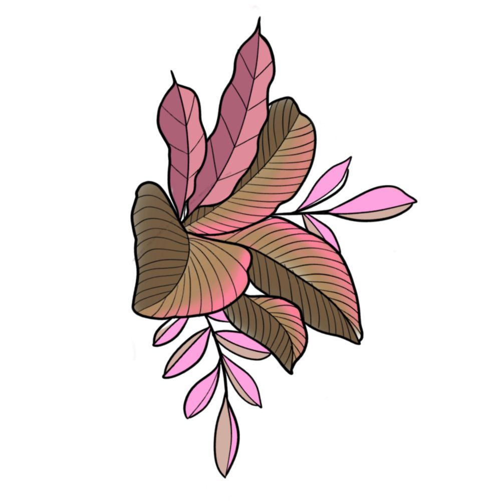 Tropical plant bundle 