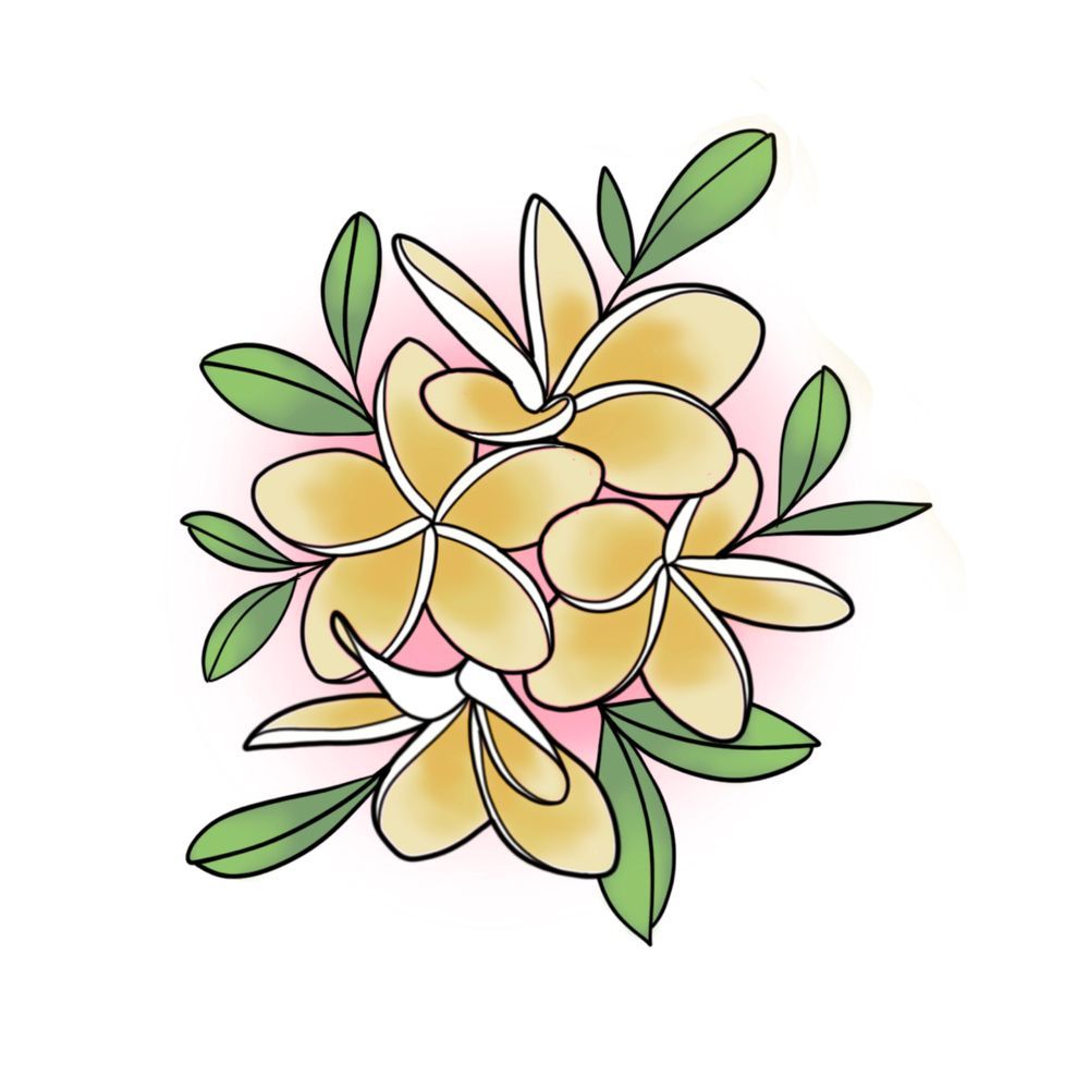 Frangipani