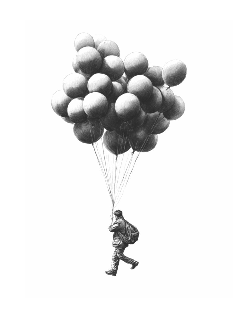 Fly