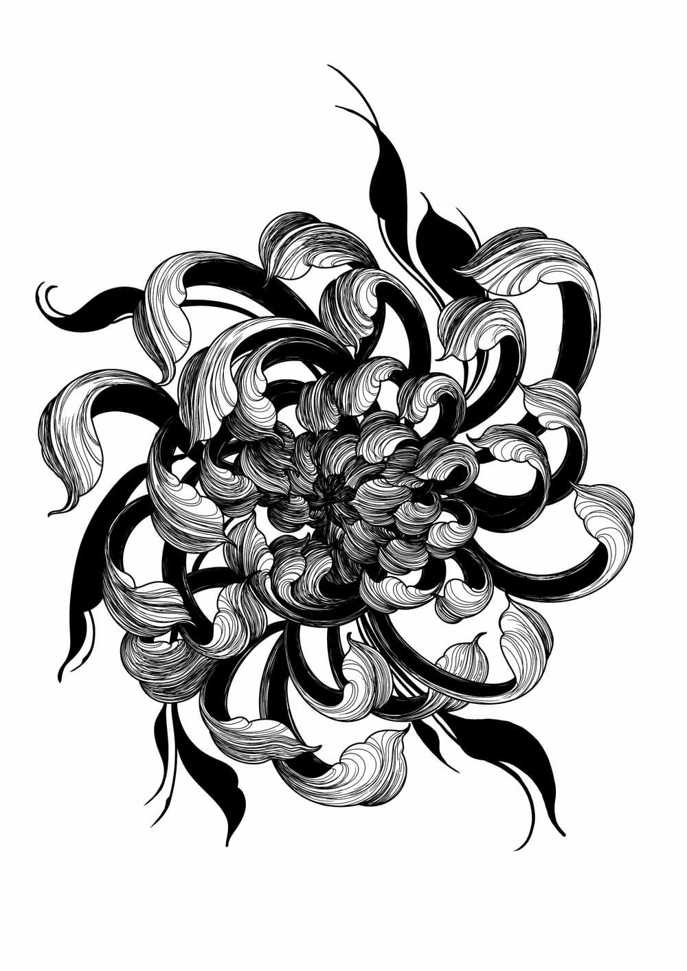 Freehand Chrysanthemum