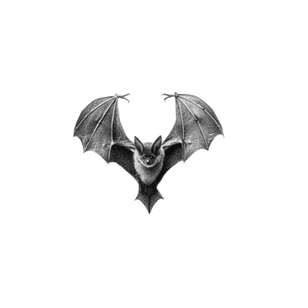 Flying Bat