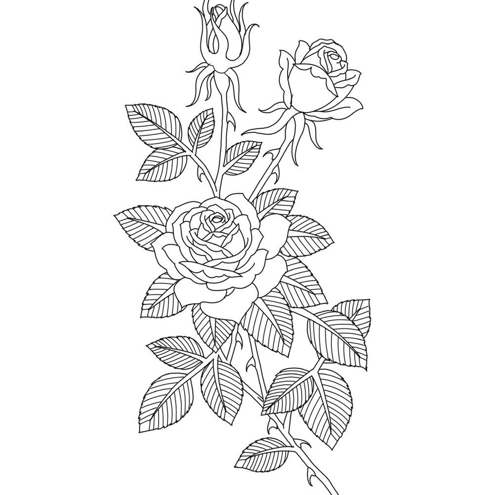 Rose stem