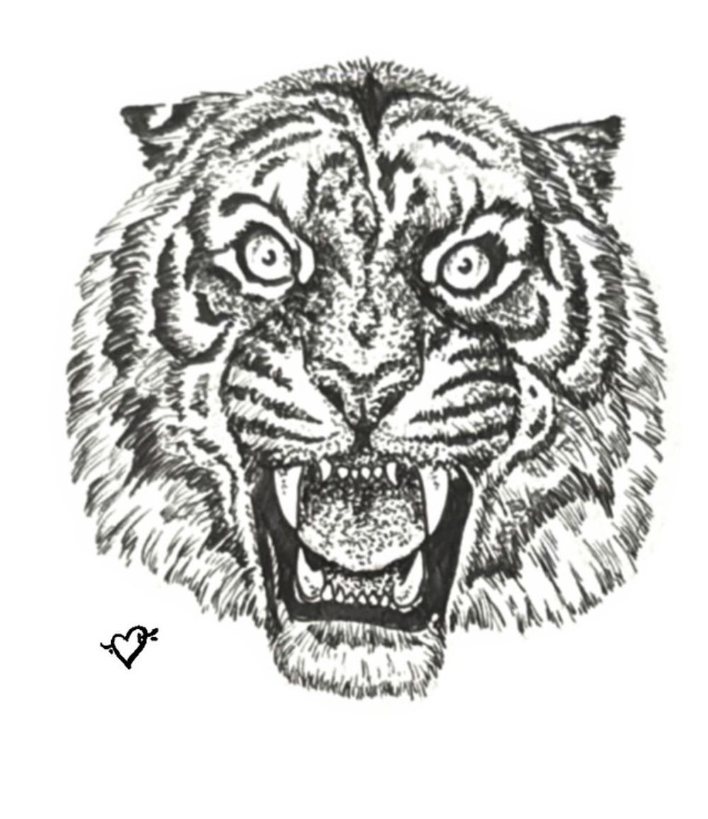 Tiger Snarl