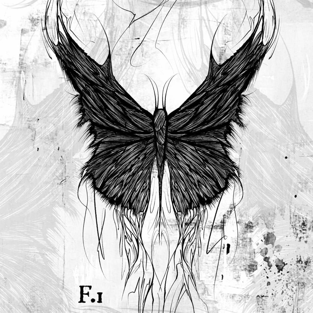 Sharp butterfly flow