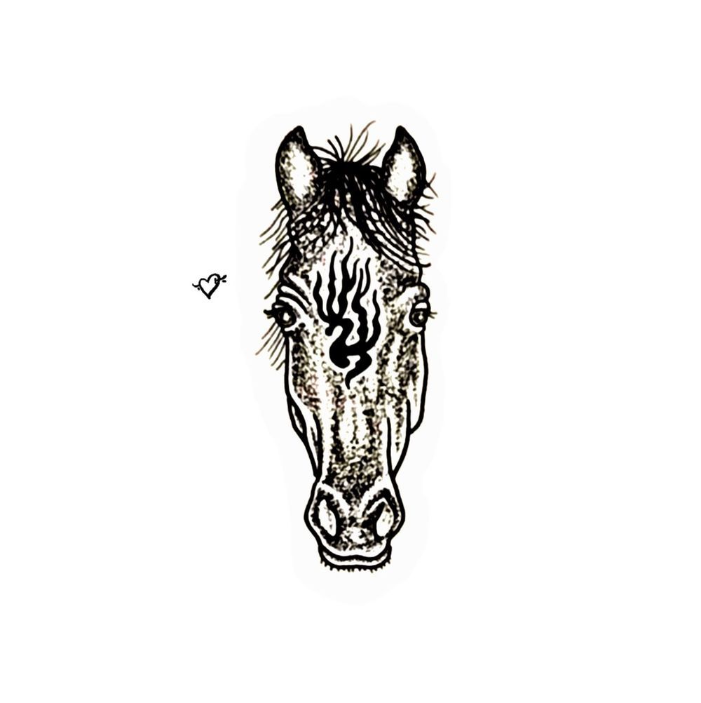 Fire Horse Portrait 