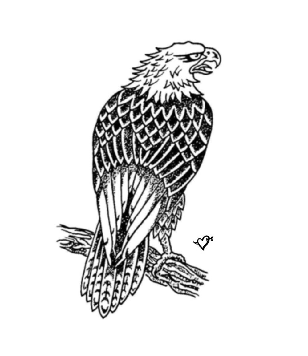 Resting Eagle 