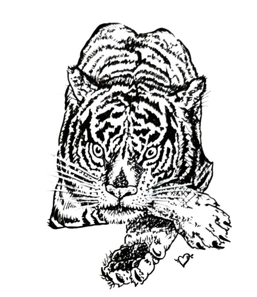 Relaxing Tiger 
