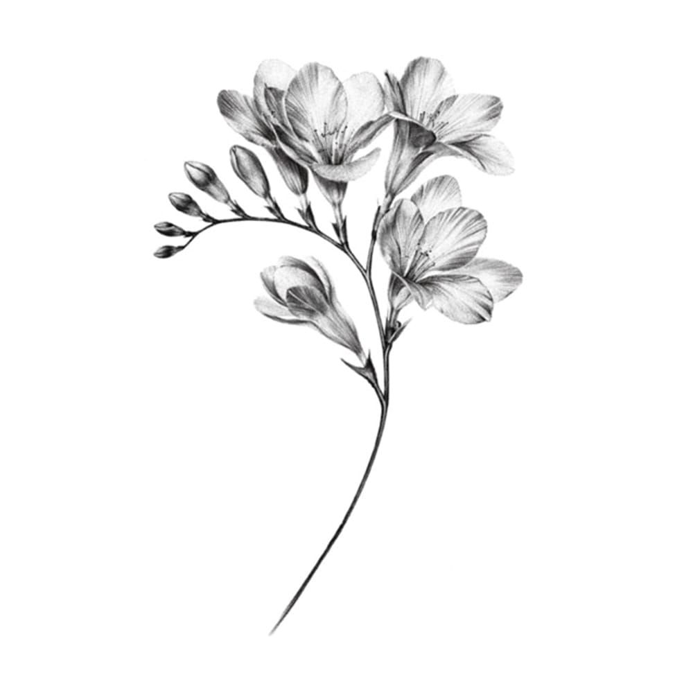 Freesia Branch