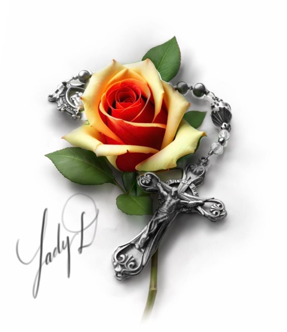 Rosary Rose 🌹 