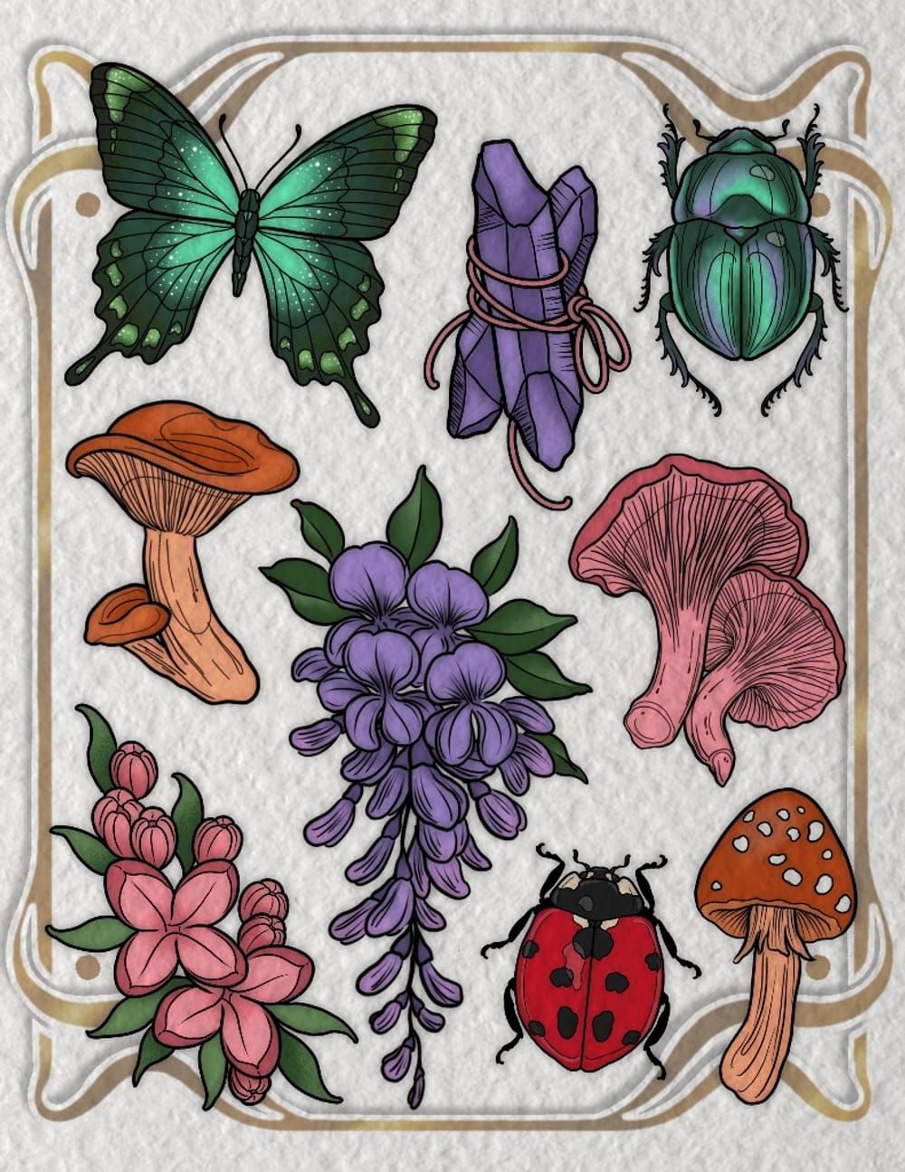 MUSHROOMS & BUGS