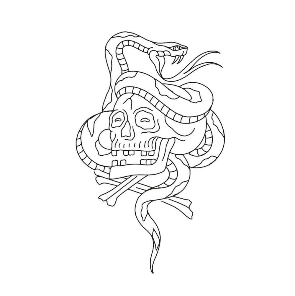 Skull snake