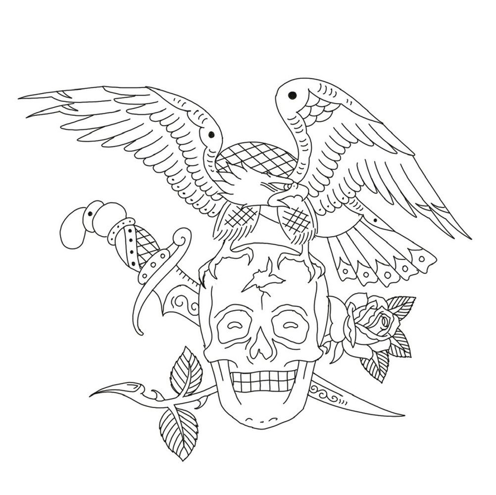 Eagle skull