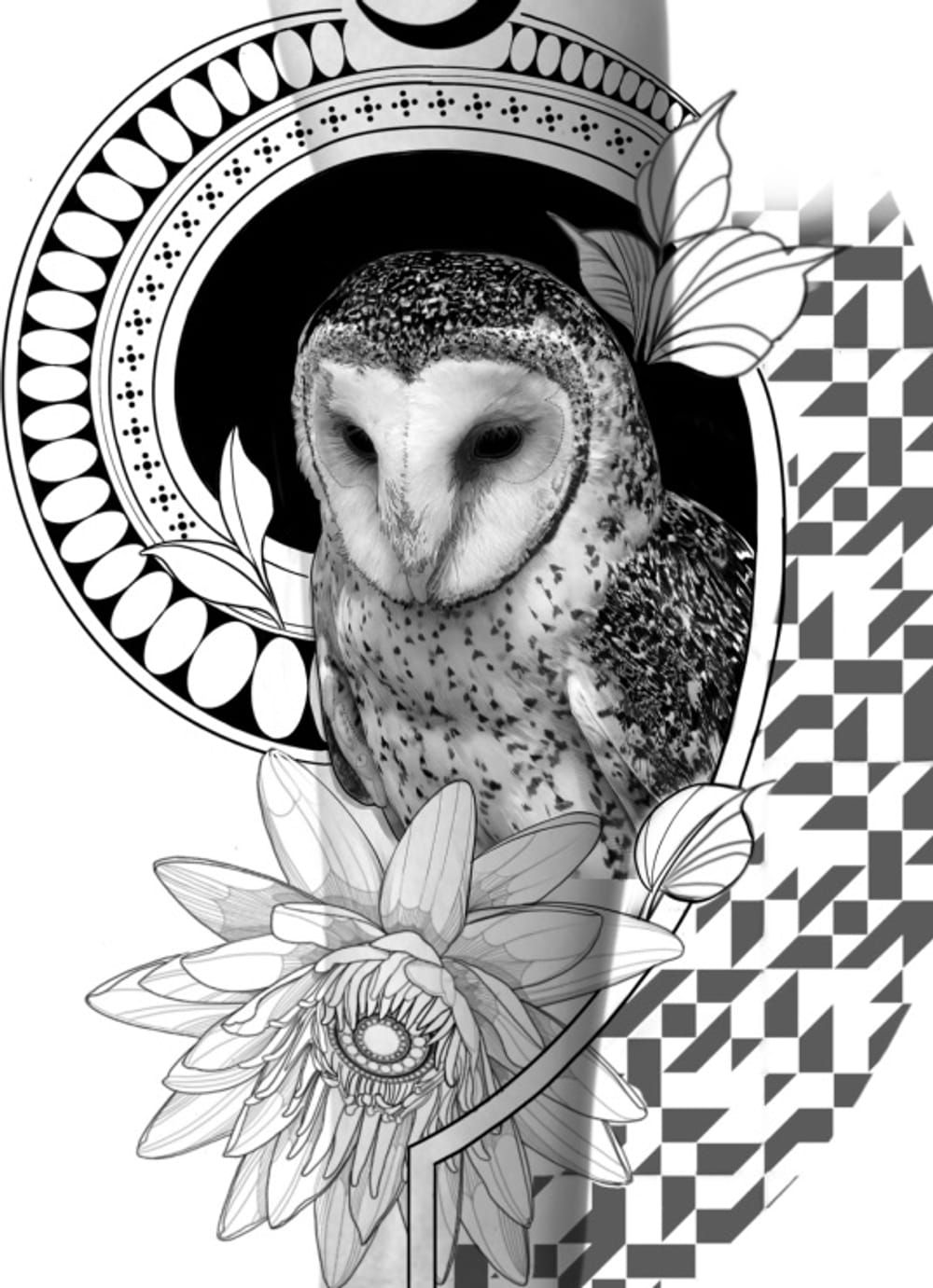 Barn owl lower sleeve concept