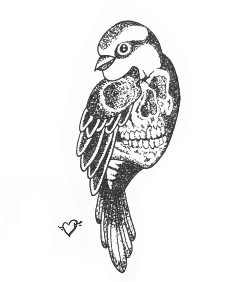 Skull bird 