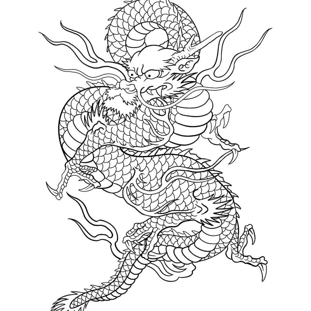 Dragon