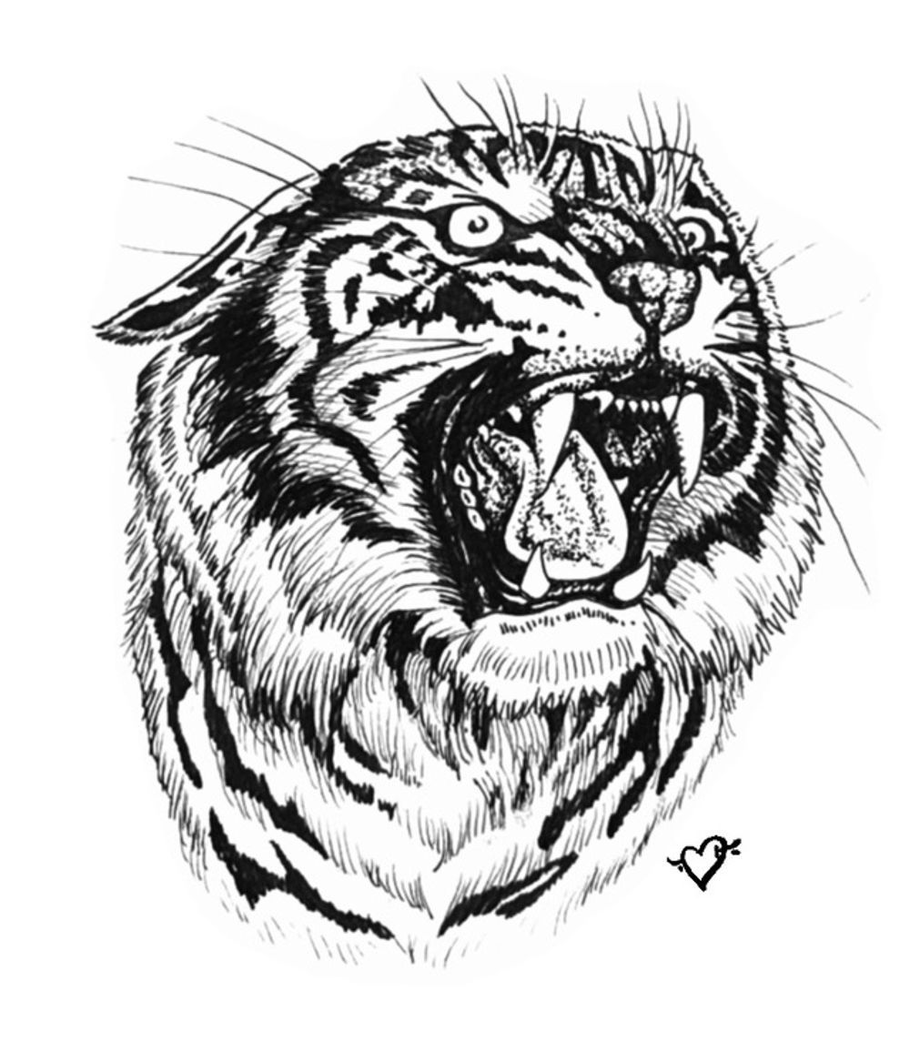 Side Tiger snarl